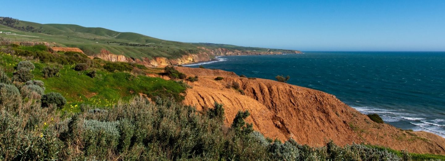 Reform bill to save councils’ planning power