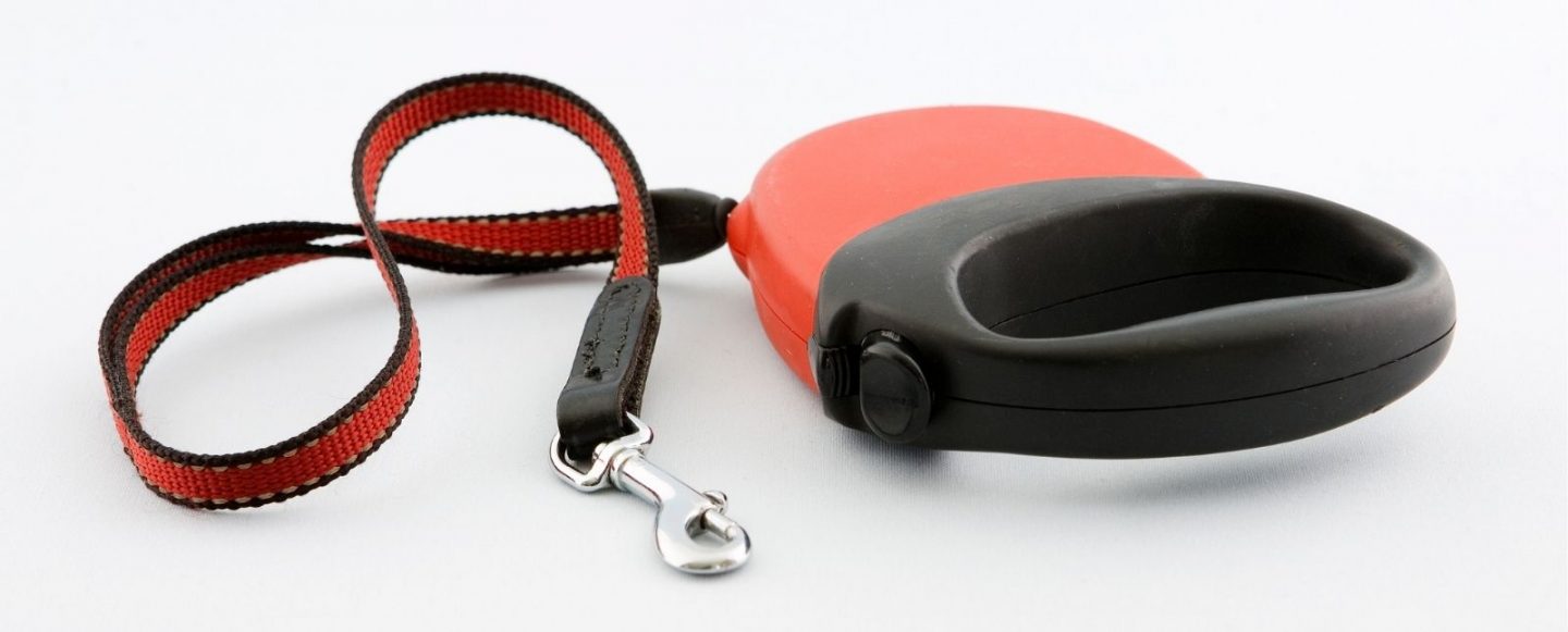 Ash v City of Burnside — Making Sense of the Statutory Defence! — District Court ruling regarding dog Control Orders