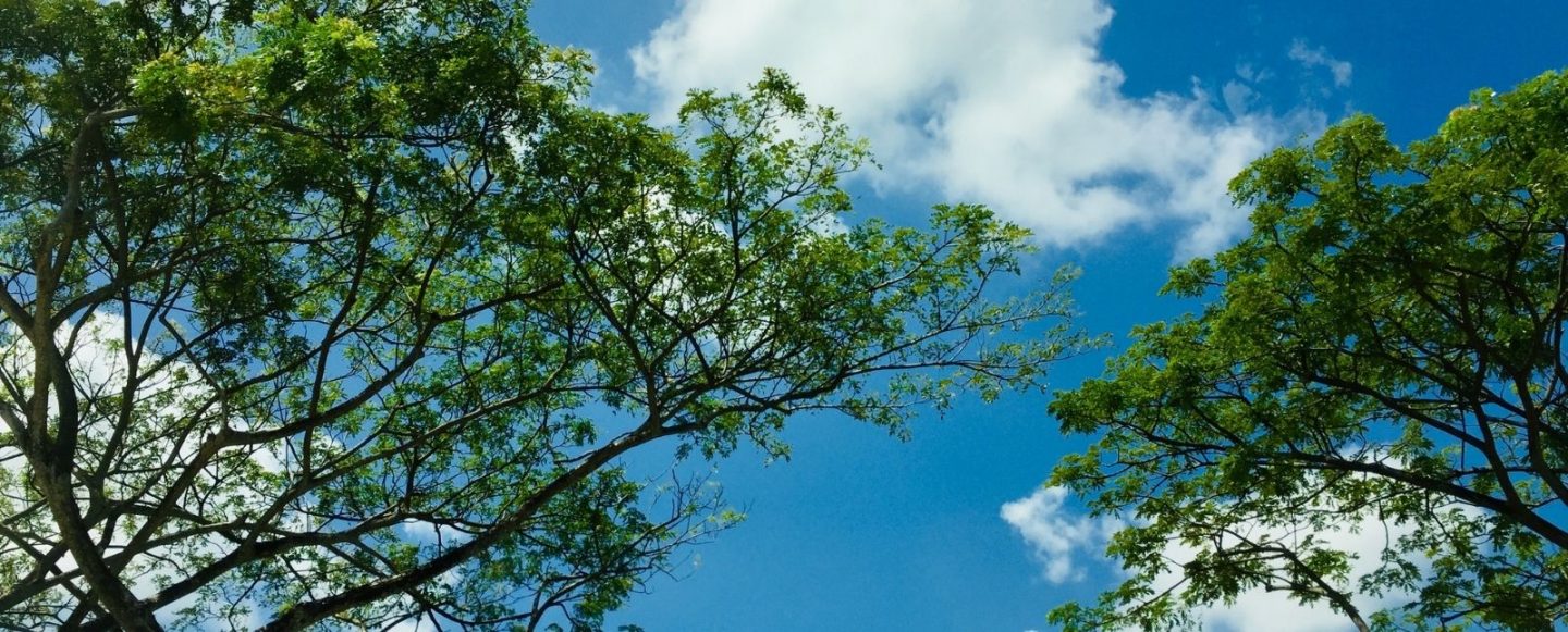 Burning hot off the Press! — The new Environment Protection (Air Quality) Policy 2016