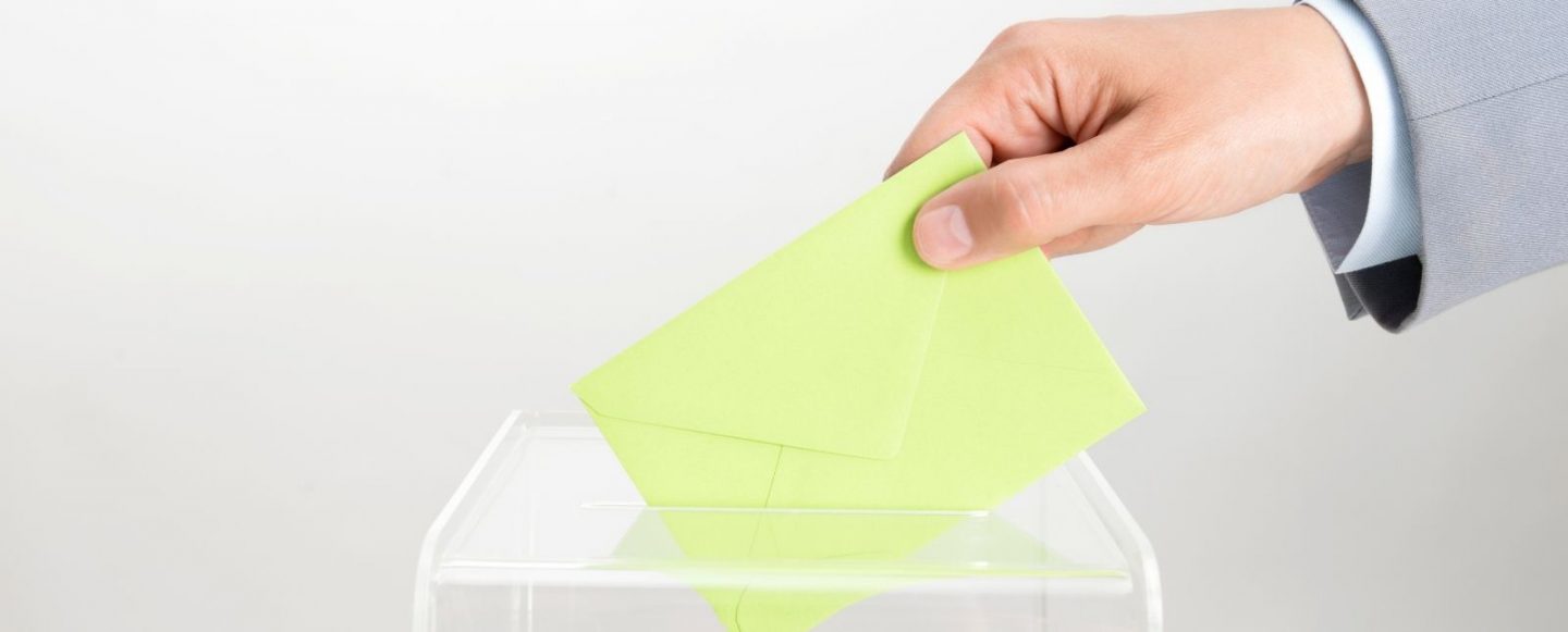 What role do Elected Members have under the Work Health and Safety Act 2012 (SA)?