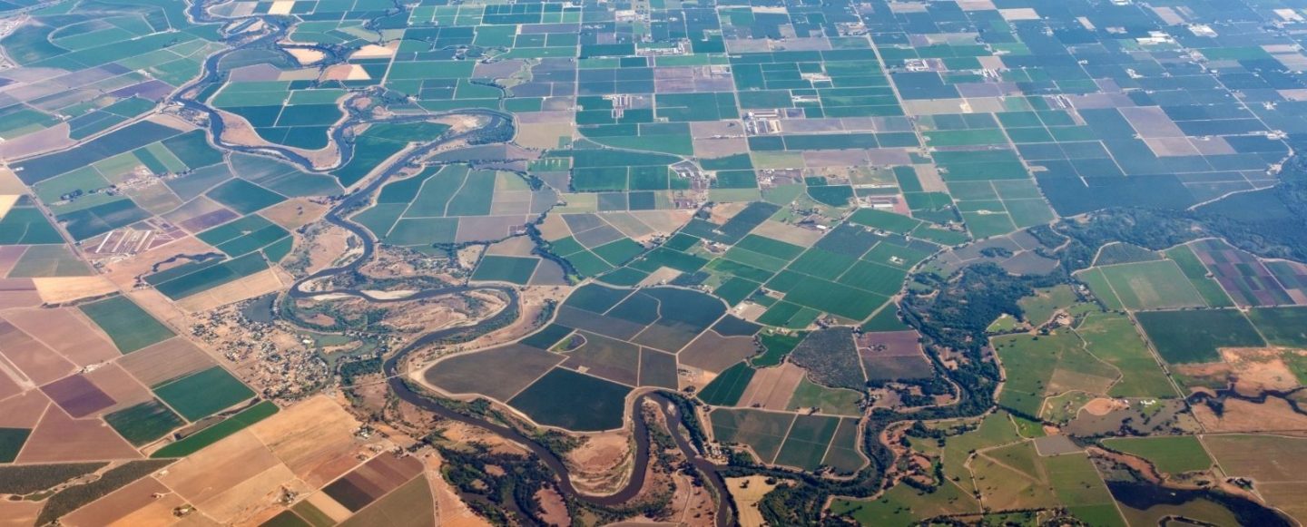 First Practice Direction issued under the PDI Act — a must read if you deal with the EFPA’s