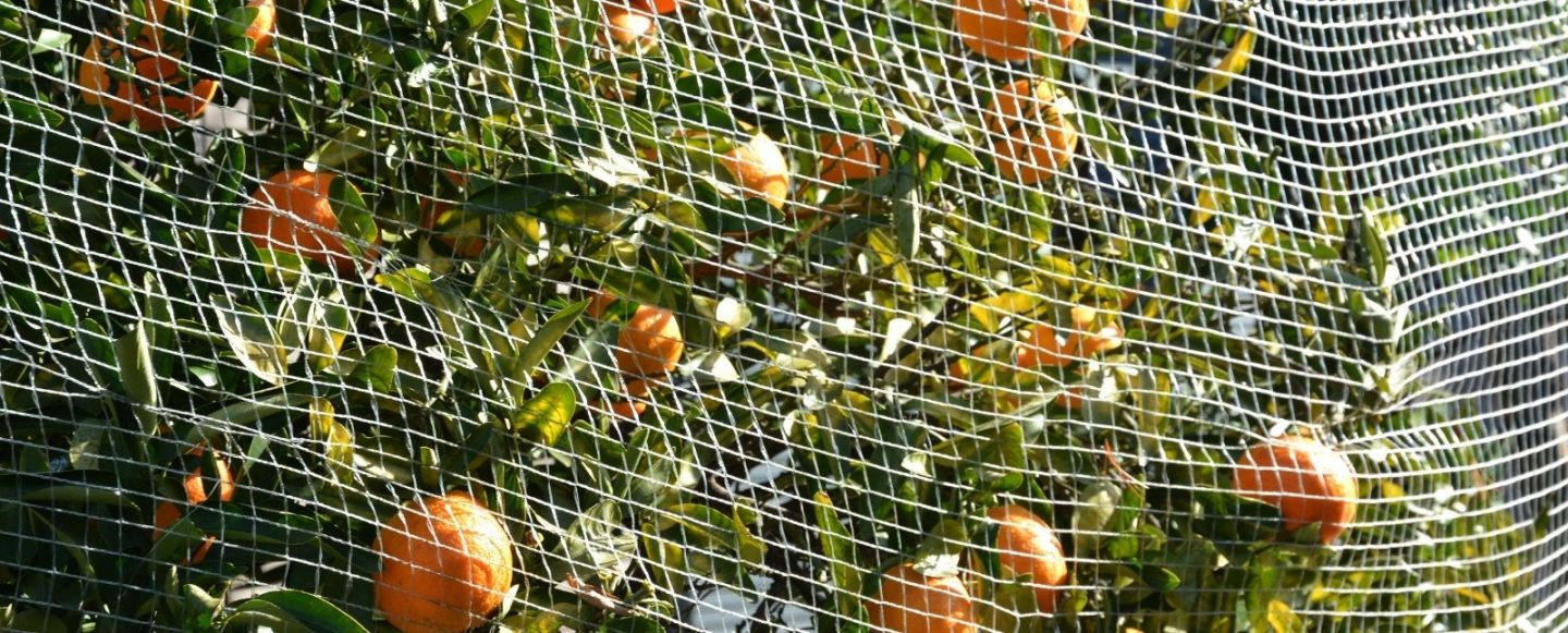 Important changes to the Development Regulations ahead of the commencement of caretaker period