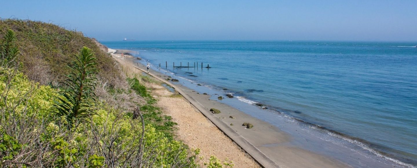 Coastal Ecology Protection Group Inv & Ors v City of Charles Sturt, and what it means for a councils Community Land Management Plans