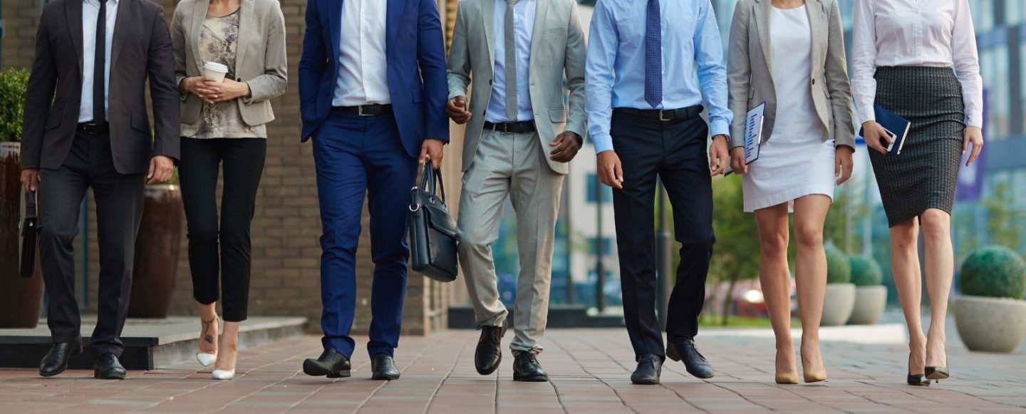 Accredited Professionals Scheme Code of Conduct, Guide to the Accredited Professionals Scheme and Continuing Professional Development have been released