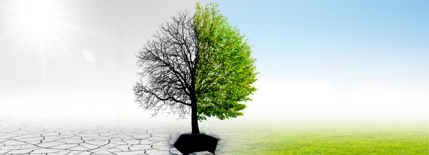 Commencement of provisions within the Landscape South Australia Act