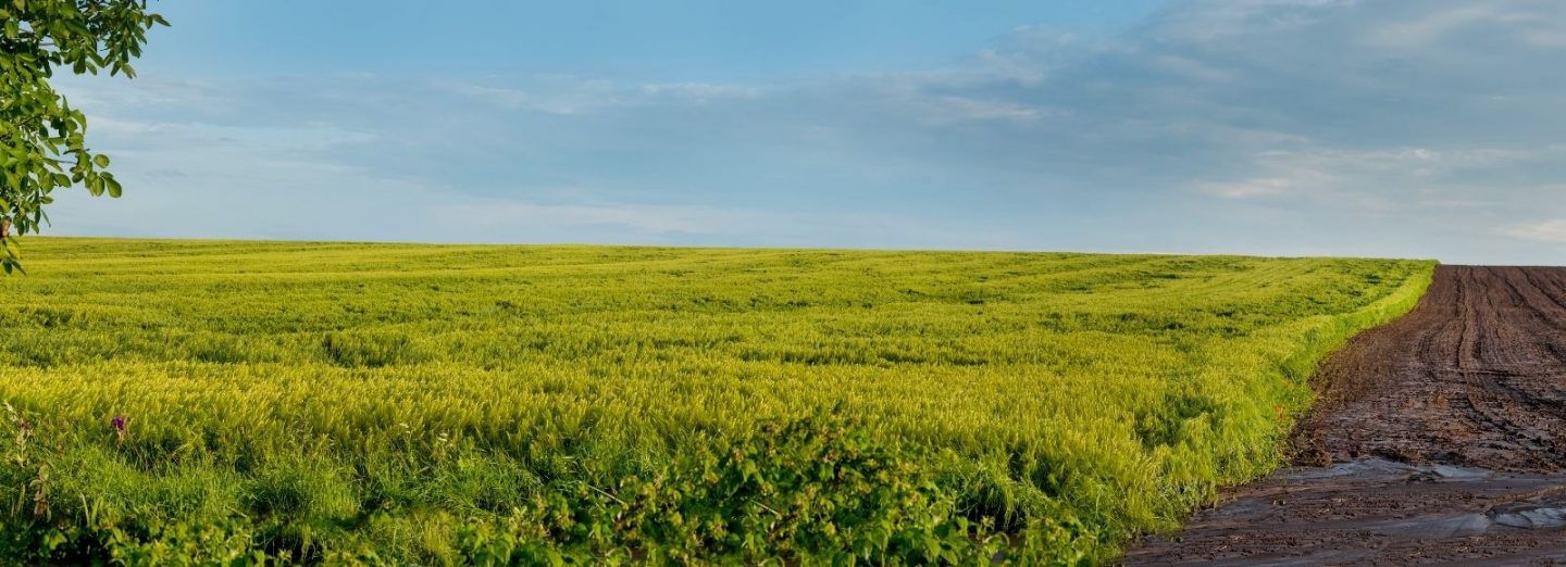 Which comes first, the land division or the building? Parliament will soon resolve this question once and for all.