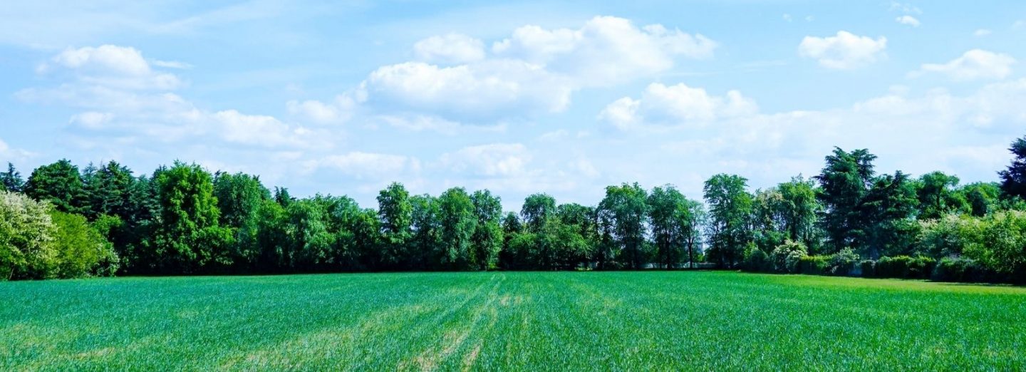 The Planning, Development and Infrastructure (General) Regulations 2017 are now complete and our new development system is largely revealed — what does this all mean?