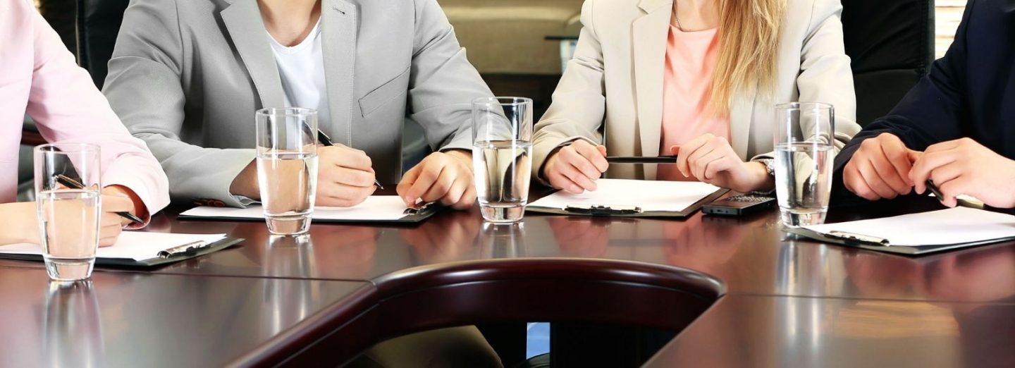 The Future of Development Assessment Panels