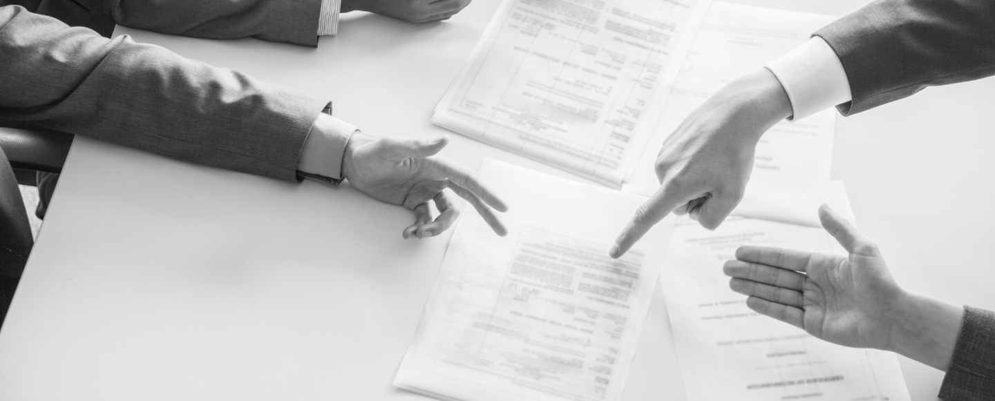 Local Government Reform — additional statutory responsibilities for elected members