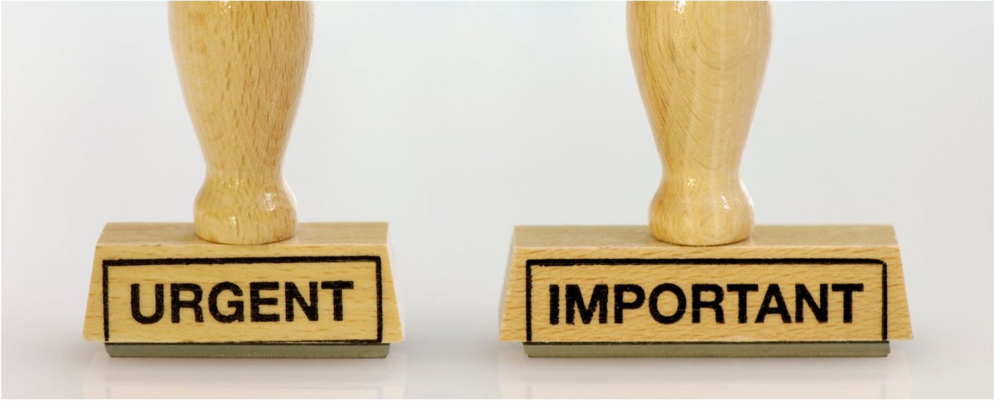 Behavioural Standards and Integrity Provisions – in the nick of time!