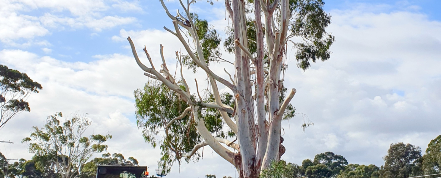 LG Alert – PDI Act enforcement update