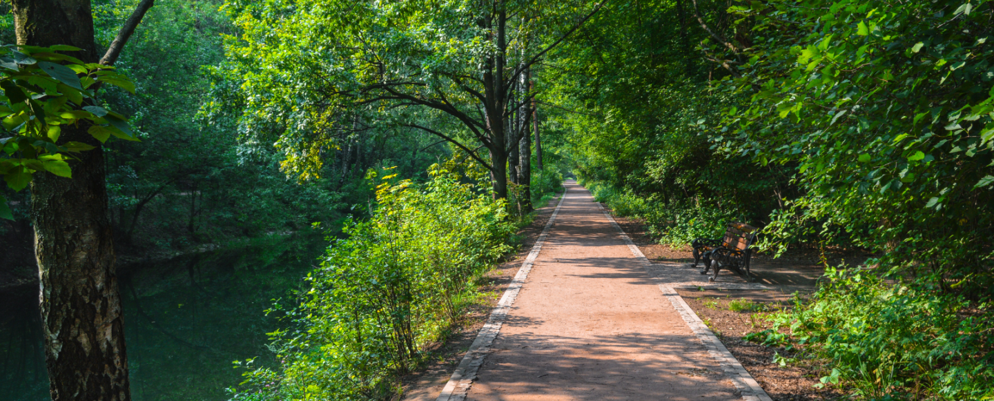 Plan ahead for the exciting opportunities that arise from the Nature Repair Act 2023 (Cth)